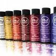 PM SHINES